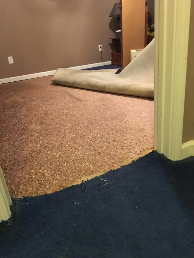 Carpet pad removal revealing water damage during Drying & Dehumidification in South Berwick